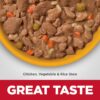 Hill's Science Diet Adult Perfect Digestion Chicken, Vegetable & Rice Stew Canned Dog Food, 12.8 oz., Case of 12