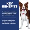 Hill's Science Diet Adult Perfect Digestion Salmon, Whole Oats & Brown Rice Recipe Dry Dog Food, 12 lbs.