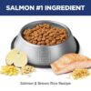 Hill's Science Diet Adult Perfect Digestion Salmon, Whole Oats & Brown Rice Recipe Dry Dog Food, 12 lbs.