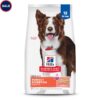 Hill's Science Diet Adult Perfect Digestion Salmon, Whole Oats & Brown Rice Recipe Dry Dog Food, 12 lbs.
