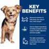 Hill's Science Diet Adult Perfect Digestion Small & Mini Chicken & Vegetables Entree Canned Dog Food, 5.8 oz., Case of 24