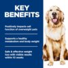 Hill's Science Diet Adult Perfect Weight Chicken Recipe Dry Dog Food, 12 lbs. Hill's Science Diet Adult Perfect Weight Chicken Recipe Dry Dog Food, 12 lbs.