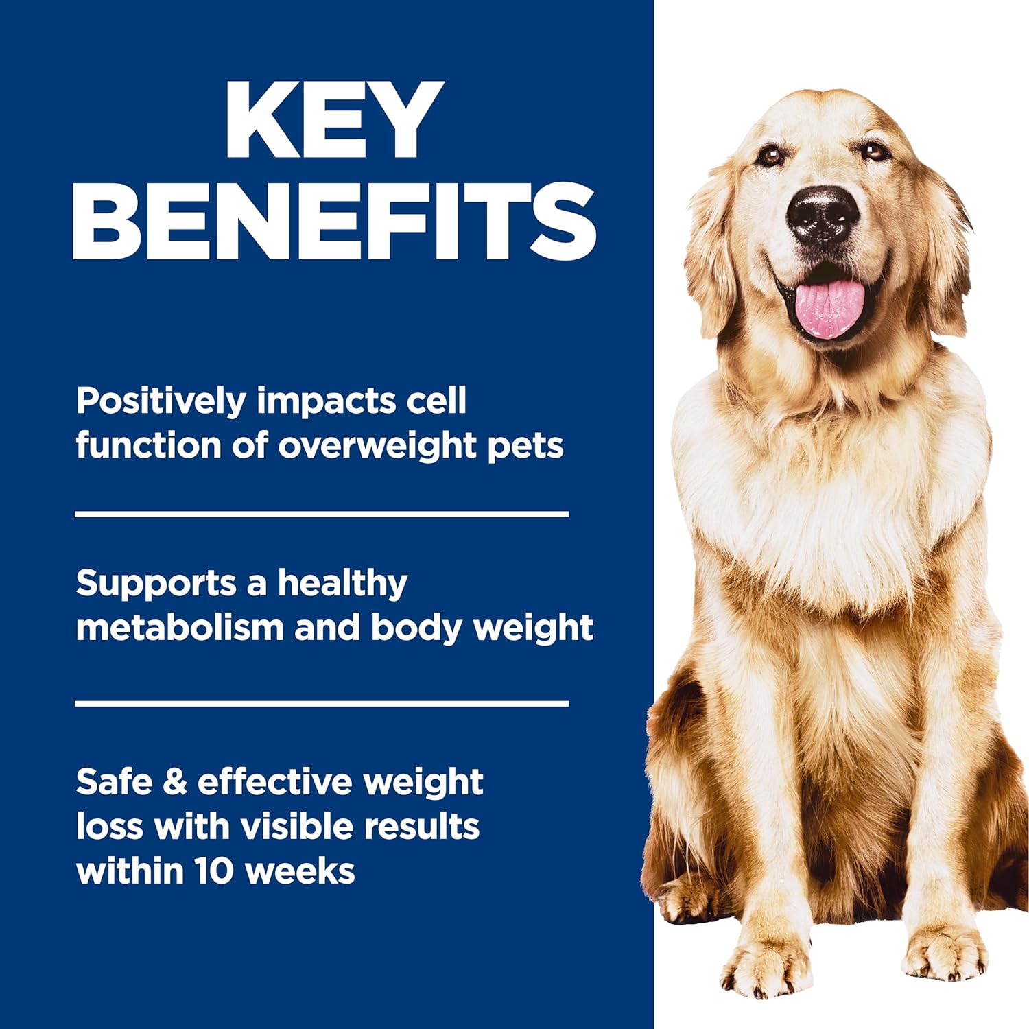 Hill's Science Diet Adult Perfect Weight Chicken Recipe Dry Dog Food, 12 lbs.5 Hill's Science Diet Adult Perfect Weight Chicken Recipe Dry Dog Food, 12 lbs.