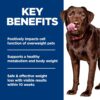 Hill's Science Diet Adult Perfect Weight Chicken Recipe Large Breed Dry Dog Food, 25 lbs. Hill's Science Diet Adult Perfect Weight Chicken Recipe Large Breed Dry Dog Food, 25 lbs.