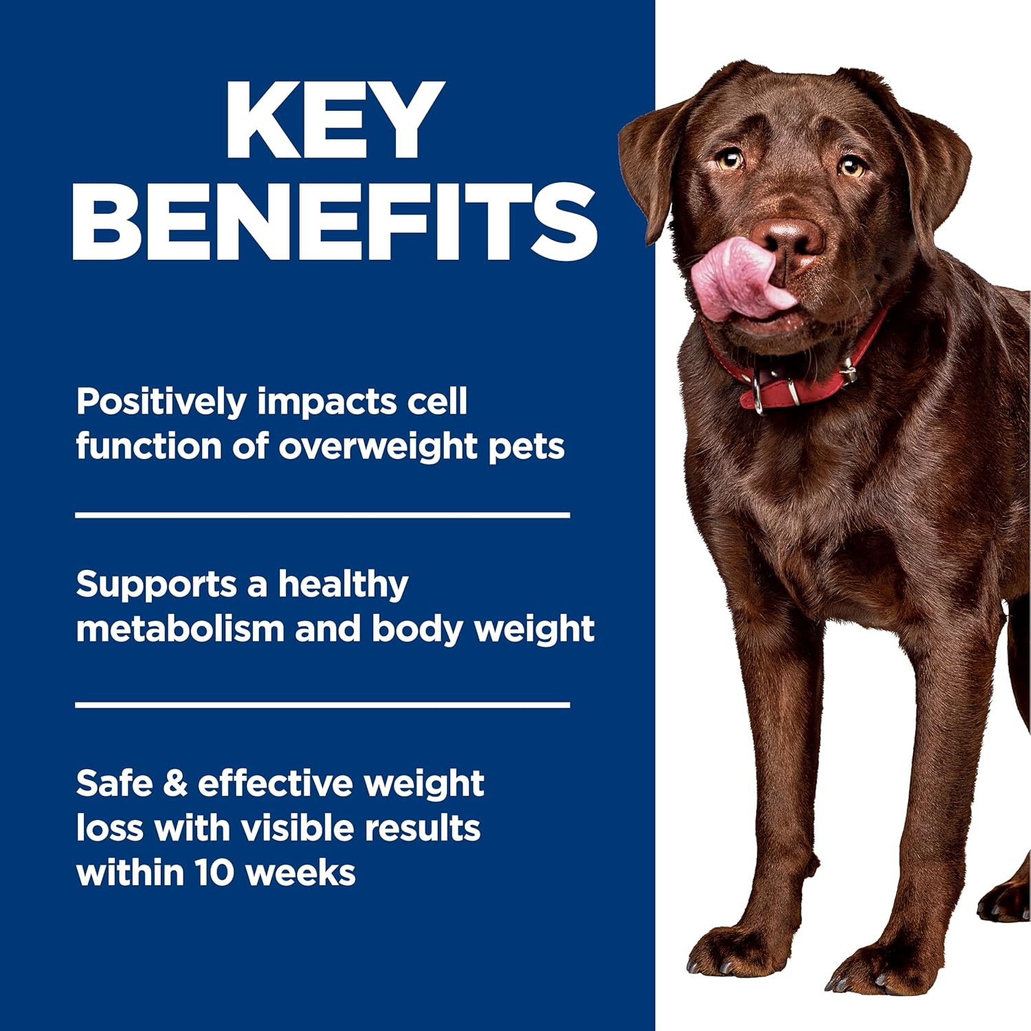 Hill's Science Diet Adult Perfect Weight Chicken Recipe Large Breed Dry Dog Food, 25 lbs.566 Hill's Science Diet Adult Perfect Weight Chicken Recipe Large Breed Dry Dog Food, 25 lbs.