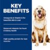 Hill's Science Diet Adult Perfect Weight Hearty Vegetables & Salmon Stew Canned Dog Food, 12.5 oz., Case of 12