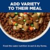Hill's Science Diet Adult Perfect Weight Hearty Vegetables & Salmon Stew Canned Dog Food, 12.5 oz., Case of 12