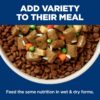 Hill's Science Diet Adult Perfect Weight & Joint Support Hearty Vegetables and Tuna Stew Canned Dog Food, 12.5 oz., Case of 12