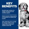 Hill's Science Diet Adult Perfect Weight & Joint Support Hearty Vegetables and Tuna Stew Canned Dog Food, 12.5 oz., Case of 12
