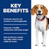 Hill's Science Diet Adult Perfect Weight Small Bites Chicken Recipe Dry Dog Food, 25 lbs. Hill's Science Diet Adult Perfect Weight Small Bites Chicken Recipe Dry Dog Food, 25 lbs.