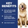 Hill's Science Diet Adult Perfect Weight Vegetables & Salmon Stew Wet Dog Food, 2.8 oz.