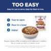 Hill's Science Diet Adult Sensitive Stomach & Sensitive Skin Chicken & Rice Stew Wet Dog Food, 2.8 oz., Case of 24