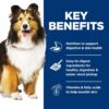 Hill's Science Diet Adult Sensitive Stomach & Sensitive Skin Chicken & Salmon Canned Dog Food Variety Pack, 12.8 oz., Pack of 12