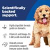 Hill's Science Diet Adult Sensitive Stomach & Sensitive Skin Salmon & Vegetable Stew Canned Wet Dog Food, 12.5 oz., Case of 12