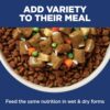 Hill's Science Diet Adult Sensitive Stomach & Skin Chicken Recipe Dry Dog Food, 15.5 lbs. Hill's Science Diet Adult Sensitive Stomach & Skin Chicken Recipe Dry Dog Food, 15.5 lbs.