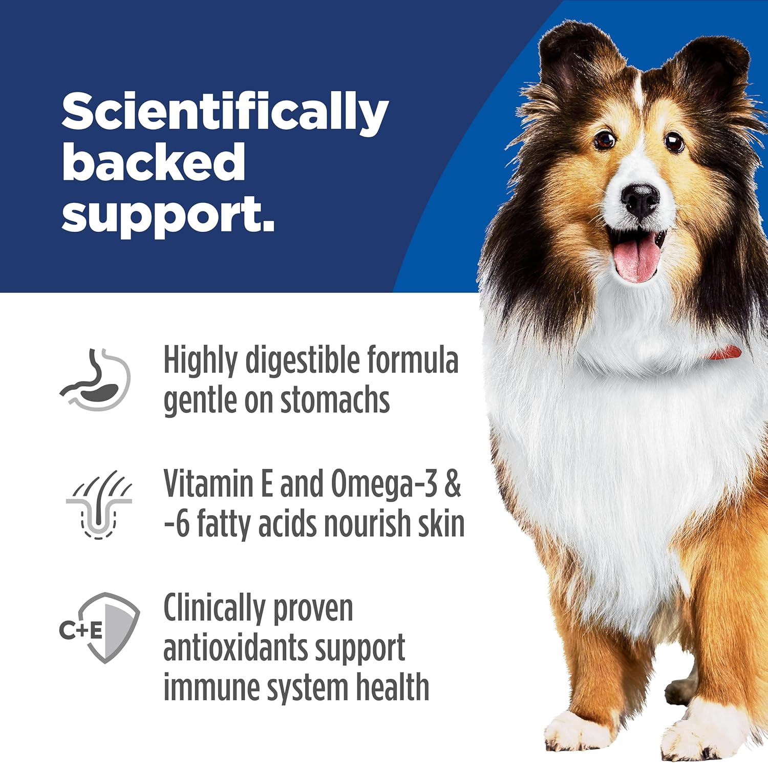 Hill's Science Diet Adult Sensitive Stomach & Skin Chicken Recipe Dry Dog Food, 15.5 lbs.6 Hill's Science Diet Adult Sensitive Stomach & Skin Chicken Recipe Dry Dog Food, 15.5 lbs.