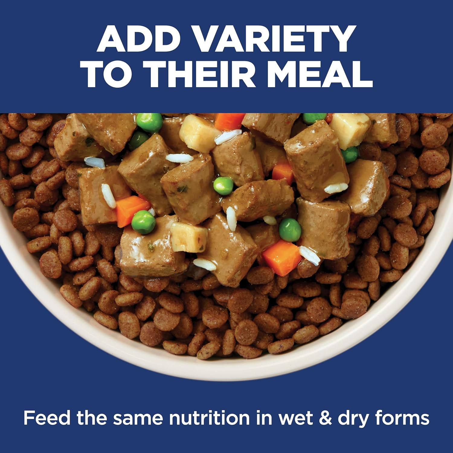 Hill's Science Diet Adult Sensitive Stomach & Skin Chicken Recipe Dry Dog Food, 30 lbs.57 Hill's Science Diet Adult Sensitive Stomach & Skin Chicken Recipe Dry Dog Food, 30 lbs.