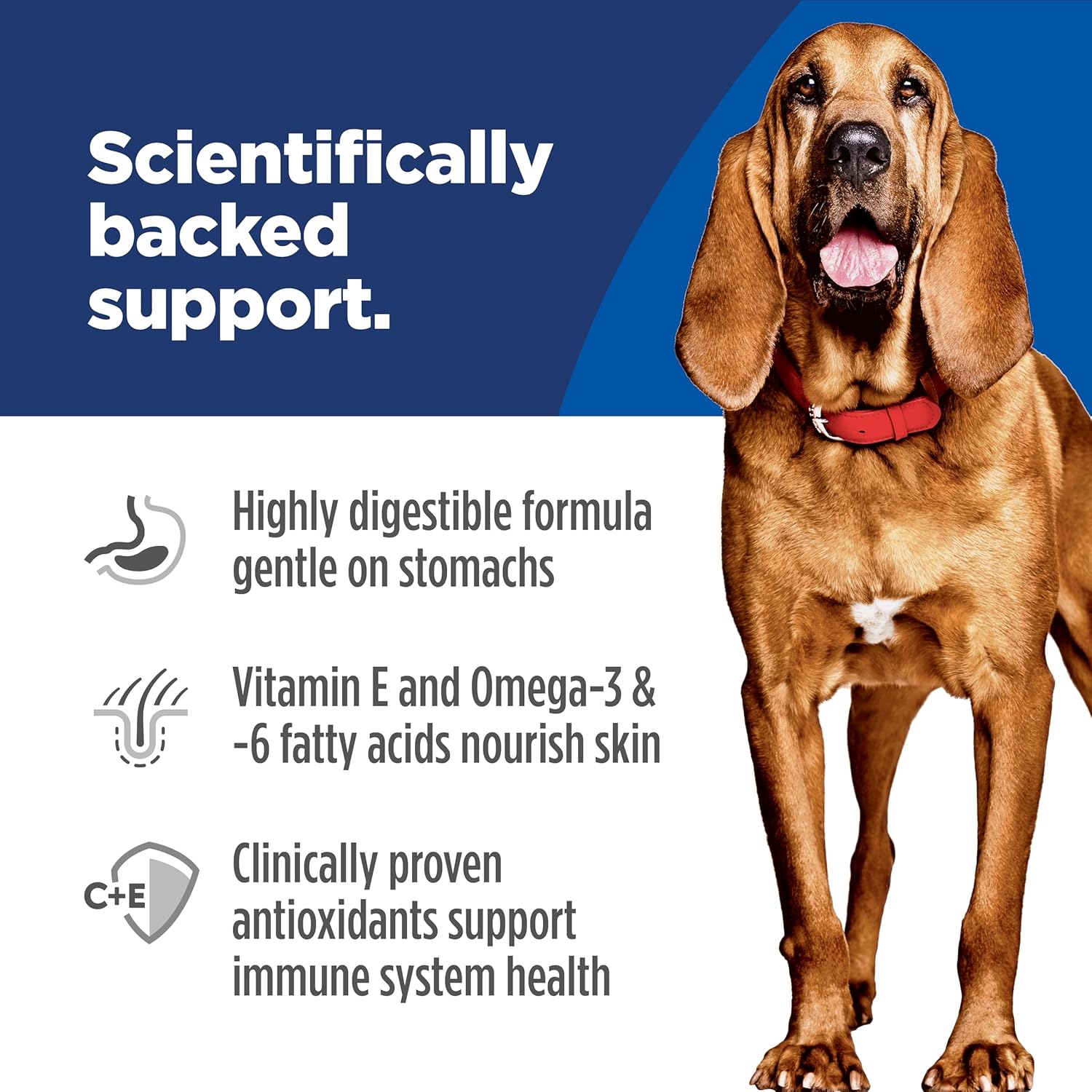 Hill's Science Diet Adult Sensitive Stomach & Skin Large Breed Chicken Recipe Dry Dog Food, 30 lbs.68 Hill's Science Diet Adult Sensitive Stomach & Skin Large Breed Chicken Recipe Dry Dog Food, 30 lbs.