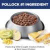 Hill's Science Diet Adult Sensitive Stomach & Skin Pollock Meal, Barley & Insect Meal Recipe Dry Dog Food, 12 lbs.