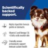 Hill's Science Diet Adult Sensitive Stomach & Skin Small & Mini Chicken Recipe Dry Dog Food, 15 lbs. Hill's Science Diet Adult Sensitive Stomach & Skin Small & Mini Chicken Recipe Dry Dog Food, 15 lbs.