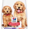 Hill's Science Diet Puppy Sensitive Stomach & Skin Salmon & Brown Rice Recipe Dry Dog Food, 13 lbs.