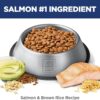 Hill's Science Diet Puppy Sensitive Stomach & Skin Salmon & Brown Rice Recipe Dry Dog Food, 13 lbs. Hill's Science Diet Puppy Sensitive Stomach & Skin Salmon & Brown Rice Recipe Dry Dog Food, 13 lbs.