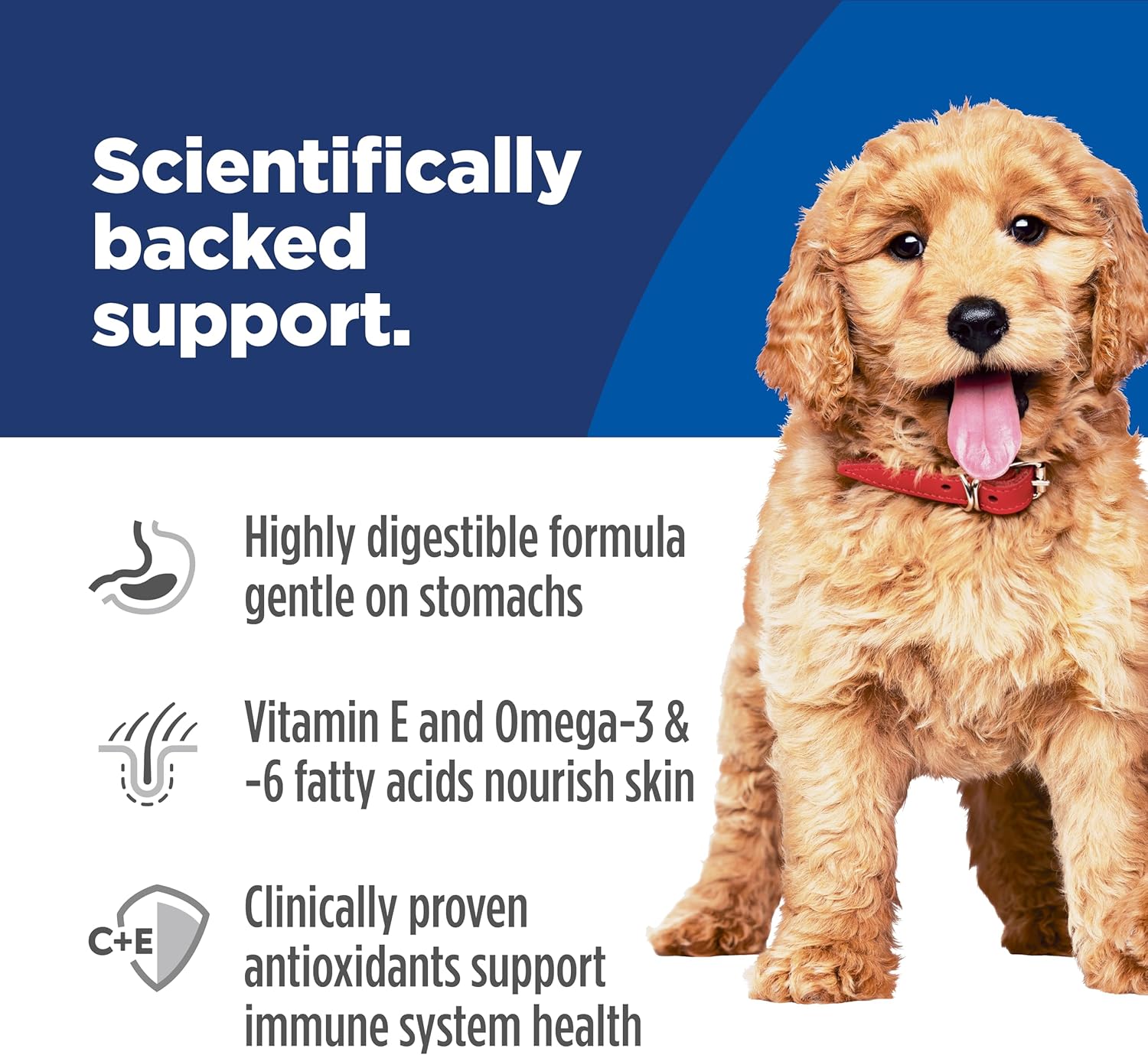 Hill's Science Diet Puppy Sensitive Stomach & Skin Salmon & Brown Rice Recipe Dry Dog Food, 13 lbs.4 Hill's Science Diet Puppy Sensitive Stomach & Skin Salmon & Brown Rice Recipe Dry Dog Food, 13 lbs.