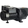 LEO UJM50-1 1/2-HP 115 and 230 -Volt 13-Gallon Cast iron Deep well jet pump