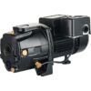 LEO UJM50-1 1/2-HP 115 and 230 -Volt 13-Gallon Cast iron Deep well jet pump