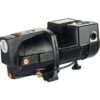 LEO UJM50-1 1/2-HP 115 and 230 -Volt 13-Gallon Cast iron Deep well jet pump
