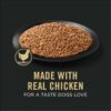 Purina Pro Plan 7 Plus Chicken and Rice Entree Classic for Senior Adult Wet Dog Food, 13 oz., Case of 12
