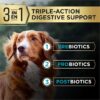 Purina Pro Plan AdvantEDGE Digestive Support Plus Salmon & Oat Meal Formula Adult Dry Dog Food, 22 lbs.