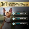 Purina Pro Plan AdvantEDGE Digestive Support Plus Small Breed Salmon & Oat Meal Formula Adult Dry Dog Food, 12 lbs.