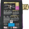 Purina Pro Plan AdvantEDGE Senior Support Plus Large Breed Shredded Blend Chicken and Rice Formula Dry Dog Food, 12 lbs. Purina Pro Plan AdvantEDGE Senior Support Plus Large Breed Shredded Blend Chicken and Rice Formula Dry Dog Food, 12 lbs.