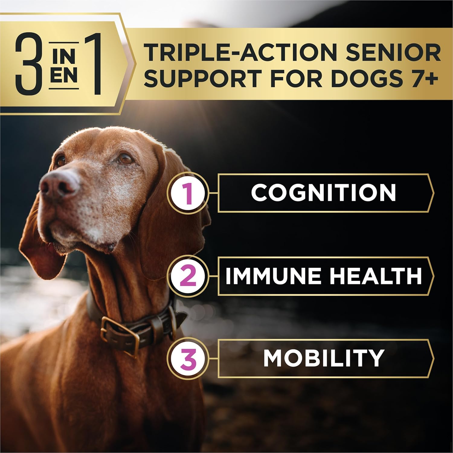 Purina Pro Plan AdvantEDGE Senior Support Plus Large Breed Shredded Blend Chicken and Rice Formula Dry Dog Food, 12 lbs.56 Purina Pro Plan AdvantEDGE Senior Support Plus Large Breed Shredded Blend Chicken and Rice Formula Dry Dog Food, 12 lbs.