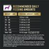 Purina Pro Plan AdvantEDGE Senior Support Plus Shredded Blend Chicken & Rice Formula Dry Dog Food, 22 lbs.