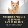 Purina Pro Plan All Life Stages Chicken Pate Classic Entree High Protein Wet Cat Food, 3 oz., Case of 24