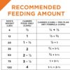 Purina Pro Plan COMPLETE ESSENTIALS Grain Free, High Protein Beef & Salmon Entree Wet Dog Food, 13 oz., Case of 12