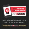 Purina Pro Plan COMPLETE ESSENTIALS Grain Free, High Protein Beef & Salmon Entree Wet Dog Food, 13 oz., Case of 12