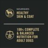 Purina Pro Plan COMPLETE ESSENTIALS Grain Free, High Protein Beef & Salmon Entree Wet Dog Food, 13 oz., Case of 12