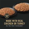 Purina Pro Plan Complete Essentials Grain Free Turkey and Sweet Potato Entree Adult Dog Food Wet Pate, 13 oz., Case of 12
