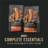 Purina Pro Plan Complete Essentials High Protein Chicken and Rice Entree Adult Dog Food Wet Pate, 13 oz., Case of 12