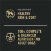 Purina Pro Plan Complete Essentials High Protein Chicken and Rice Entree Adult Dog Food Wet Pate, 13 oz., Case of 12