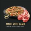 Purina Pro Plan Complete Essentials High Protein Lamb and Vegetables Entree Adult Dog Food Wet Gravy, 13 oz., Case of 12