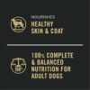 Purina Pro Plan Complete Essentials High Protein Slices in Gravy, Beef and Vegetables Entree Adult Dog Food, 13 oz., Case of 12