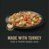 Purina Pro Plan Complete Essentials High Protein Turkey and Vegetables Entree Adult Dog Food With Gravy, 13 oz., Case of 12