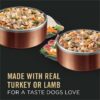Purina Pro Plan Complete Essentials High Protein with Real Turkey or Lamb Adult Wet Dog Food Variety Pack, 13 oz., Count of 12