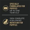 Purina Pro Plan Development Grain Free Chicken & Turkey Puppy Wet Food Variety Pack, 13 oz.