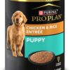 Purina Pro Plan FOCUS High Protein, Chicken and Brown Rice Entree Puppy Food Pate, 13 oz., Case of 12
