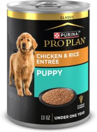 Purina Pro Plan FOCUS High Protein, Chicken and Brown Rice Entree Puppy Food Pate, 13 oz., Case of 12